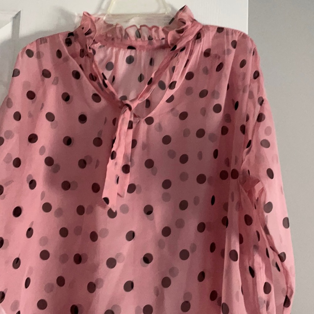 A NWNT Zaras blouse